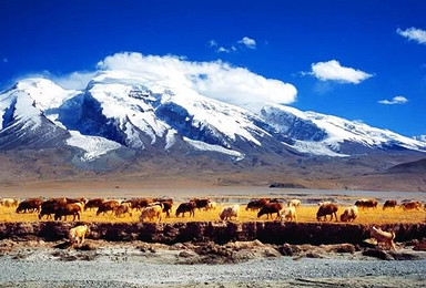 精品旅行 大美新疆 亚洲大陆的心脏之旅（11日行程）