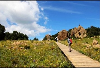 北京第三高峰-百花山 消夏避暑A/B线双发（1日行程）