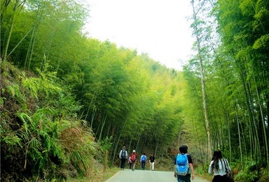 从化星溪徒步 山野行走 竹影摇（1日行程）