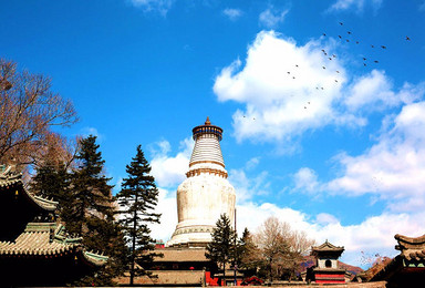 荡涤心灵五台山朝拜（3日行程）