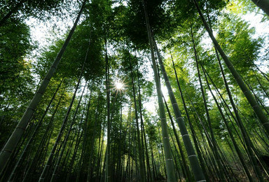 从化 溪头村 野炊 水果寻鲜线（1日行程）