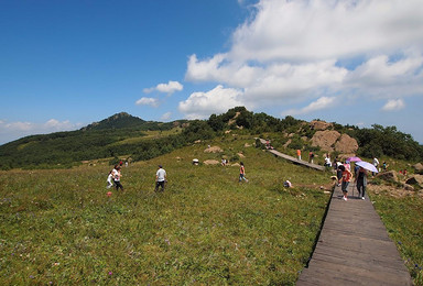 那山那寺那花海 走进百花山（1日行程）