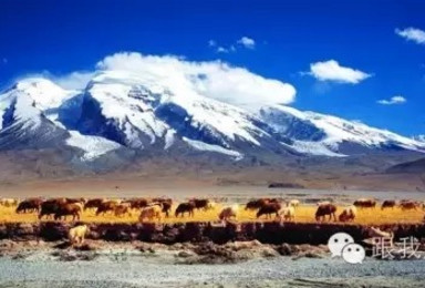 大美新疆 亚洲大陆的心脏之旅（11日行程）