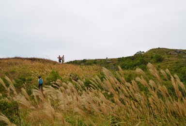 密林穿越深圳最古老村落 西贡 抛狗岭 半天云村（1日行程）