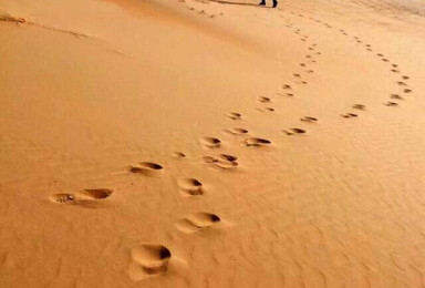 追寻沙漠脚印 领略神奇风光 倾心打造库布齐沙漠深度之旅（2日行程）