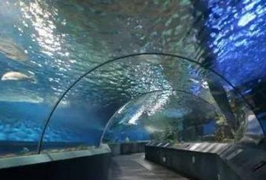 南京海底世界 科技馆（1日行程）