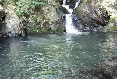 梧桐山麻水鳳溯溪泡潭子 打火锅 挖竹笋（1日行程）