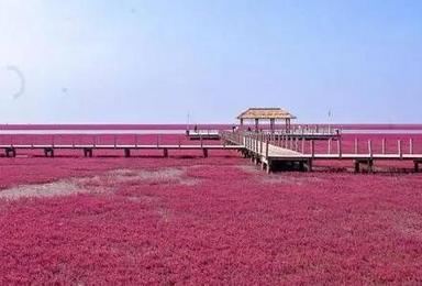 天下奇观盘锦红海滩 锦州笔架山 九门口长城（3日行程）