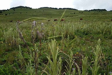 登高木香坪 穿越鸡山金顶（2日行程）