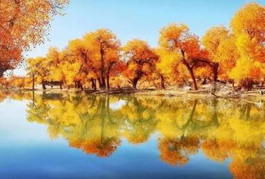 大漠胡杨林 额济纳的秋天 人间最美的天堂（8日行程）