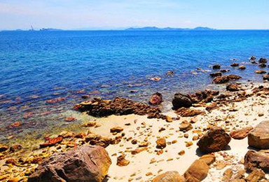 魅力三门岛露营 烧烤 登海誓山盟峰 赏日出（2日行程）