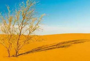 带你探秘中国第四大沙漠 腾格里沙漠穿越（4日行程）