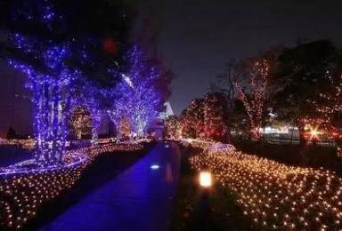 SHINING RUN打造国际最长炫彩灯光赛道 廊坊星光大厂国际半程马拉松（1日行程）