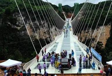 张家界传说中的大峡谷玻璃桥 老道湾（2日行程）