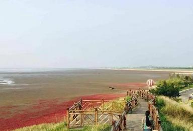 营口北海红海滩 海鲜大餐休闲游（1日行程）