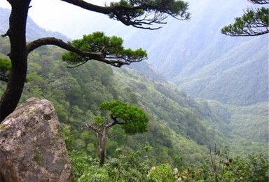 出队铁岭龙王山（1日行程）