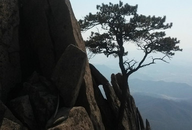 五龙山景区登山活动（1日行程）