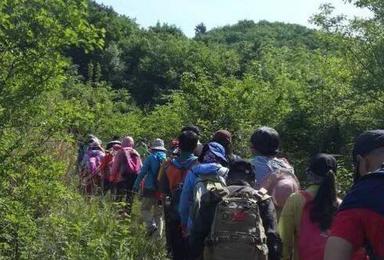 辽阳鸡冠山赏枫爬山休闲游（1日行程）