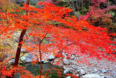 抚顺清源筐子沟风景区（1日行程）