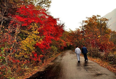 景区路线 丹东蒲石河森林公园（1日行程）