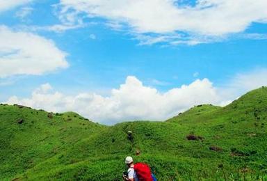 穿越珠三角最美高山草原 惠州大南山（1日行程）