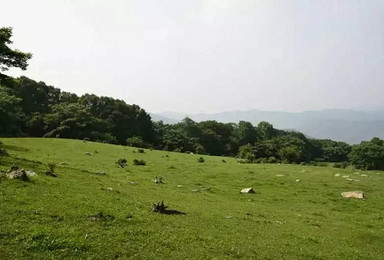 本溪关门山 老坪砣高山草原游（2日行程）