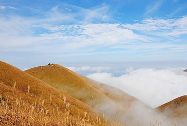 爱在武 我在武功看明月 沉醉在那片芦苇花海里 徒步江西武功山（3日行程）