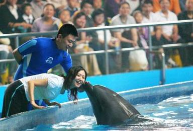 青岛方特梦幻王国 青岛极地海洋馆 含海豚表演（2日行程）