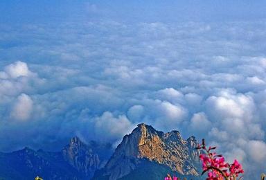 大美雾灵山 世外桃园 赏皇家风水宝地 美景（3日行程）