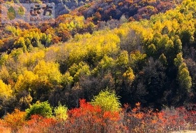 北京玉渡山使用旅游年卡（1日行程）