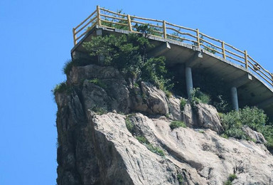 秋游老君山 观金顶 穿石林 走悬崖栈道 登伏牛山主峰(1日行程) 秋游老君山 观金顶 穿石林 走悬崖栈道 登伏牛山主峰(1日行程)