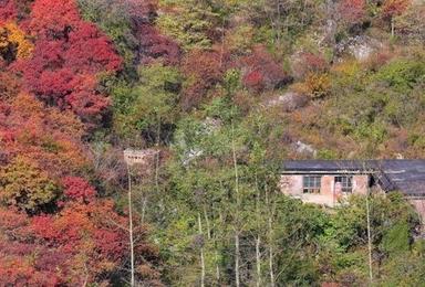 华北地区最大的红叶区 仙台山赏红叶游（1日行程）