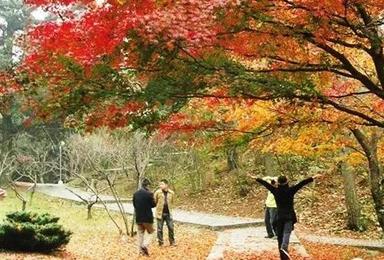 初秋的庐山 人烟罕至 登山赏美丽的秋景 绝对别有一番意境（1日行程）