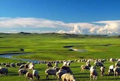 让我们一起走 世界最美草原 最美秋色 内蒙古 呼伦贝尔 草原深度行（7日行程）