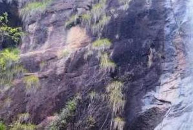 出行天台龙穿峡梦幻仙境 访张思千年古村（1日行程）