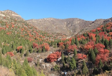 顺义五彩浅山徒步摄影红叶游（1日行程）