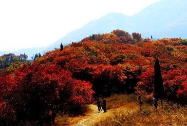 博山九龙峪景区和尚房穿越赏红叶（1日行程）