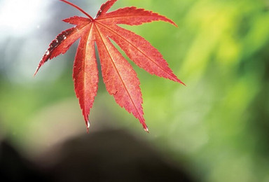 茂县松坪沟游（2日行程）