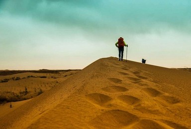 放归大漠 一沙一世界 震撼穿越库布齐沙漠（4日行程）