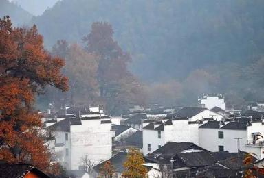 三批到婺源 寻找 拍摄最美丽的秋色 最美乡村活动（2日行程）