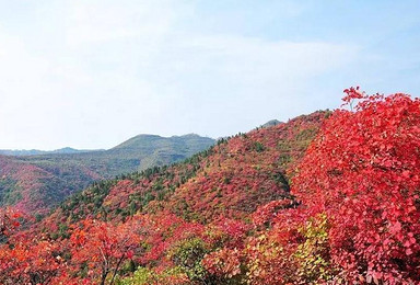 北京故宫 颐和园 登八达岭长城 赏香山赏红叶完美之旅（4日行程）