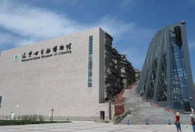 辽宁古生物博物馆 航空博物馆 一天内体验集科学与娱乐结合的两大博物馆（1日行程）