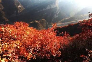 自驾坡峰岭 骑行潭柘寺（1日行程）