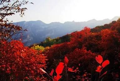 坡峰岭 年度最热红叶观赏区 坡峰岭 玉虚宫 观音洞 鹰嘴涯（1日行程）