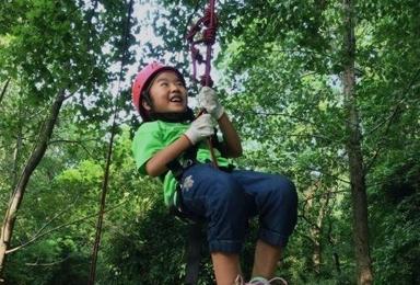 新玩法 利用绳索上树梢 学习攀爬及接触树木（1日行程）