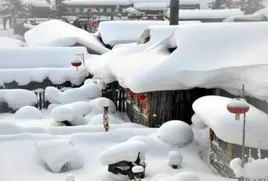 哈尔滨 雪谷雪乡 林海雪原 打雪仗 堆雪人 逛冰雪大世界 代订火车票（3日行程）