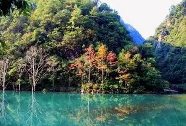 首届牛头山登山节 走进牛头山 感受武义温泉 游览太极星象村（2日行程）