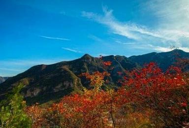 坡峰岭赏不一样的红叶（1日行程）