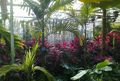 600亩热带植物园休闲游（1日行程）