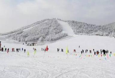 华中最大最好的滑雪场神农架国际滑雪场纯滑雪活动 武汉直通车（2日行程）
